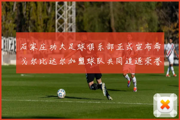石家庄功夫足球俱乐部正式宣布希戈尔比达尔加盟球队共同追逐荣誉