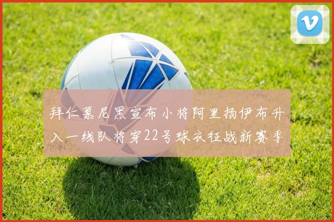 拜仁慕尼黑宣布小将阿里扬伊布升入一线队将穿22号球衣征战新赛季