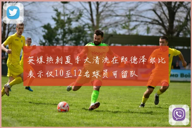 英媒热刺夏季大清洗在即德泽尔比表示仅10至12名球员可留队