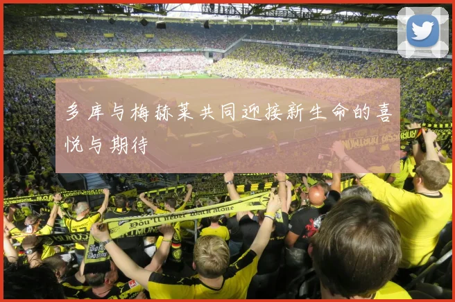 多库与梅赫莱共同迎接新生命的喜悦与期待